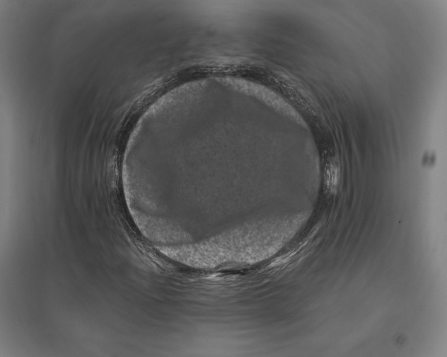 X0000095131204200712301816