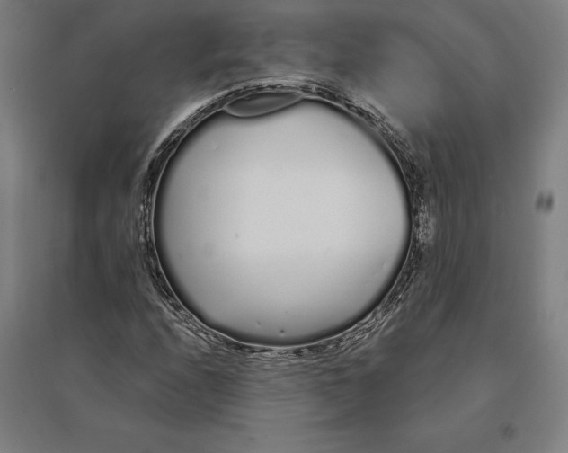 X0000095131208200712301816