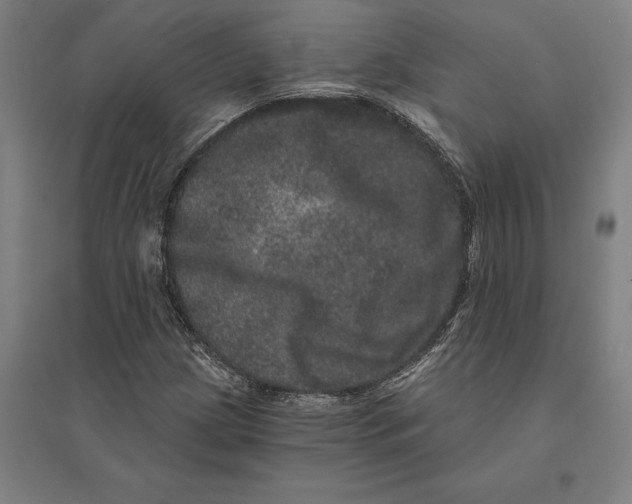 X0000095131209200712301816