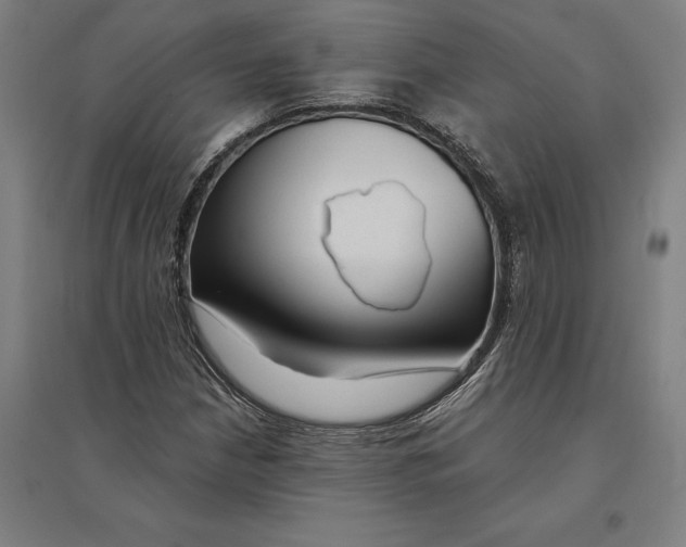 X0000095131210200712301816