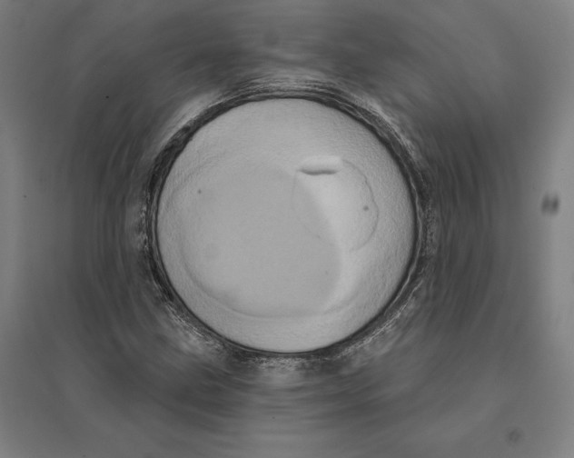 X0000095131211200712301816