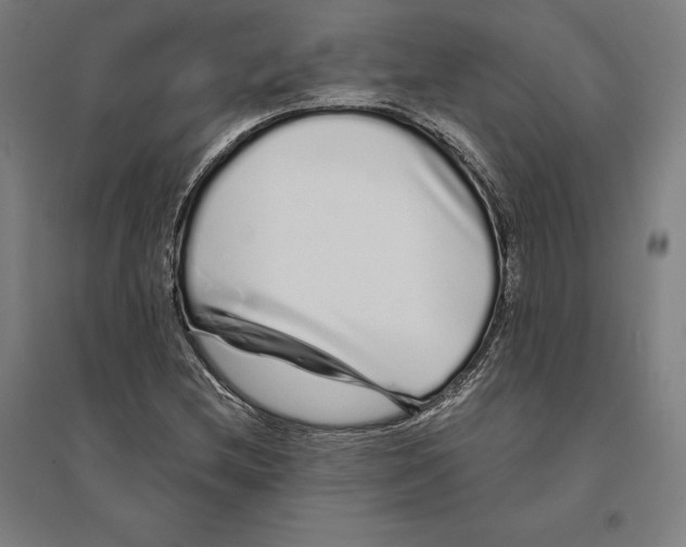 X0000095131212200712301816