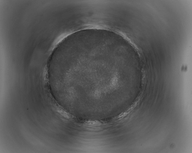 X0000095131215200712301816