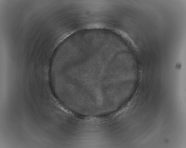 X0000095131217200712301816