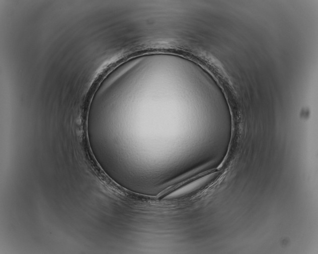 X0000095131218200712301816