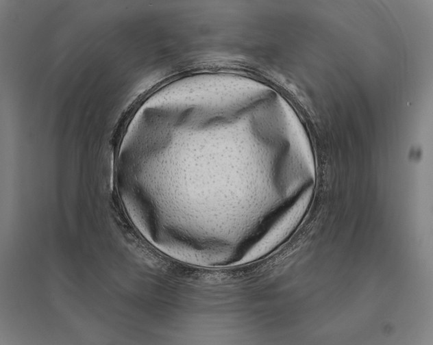 X0000095131219200712301817