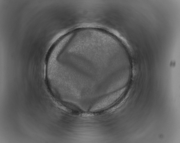 X0000095131221200712301817