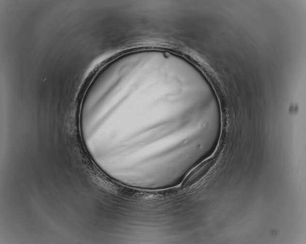 X0000095131222200712301817