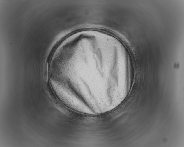 X0000095131223200712301817