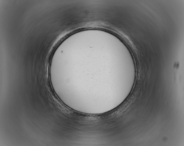 X0000095131224200712301817