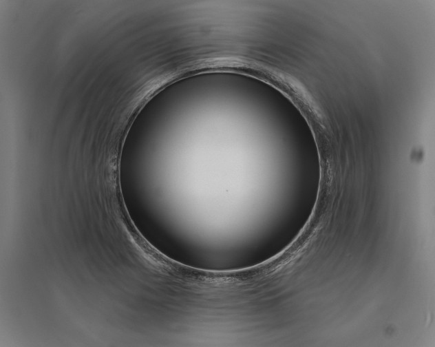 X0000095131225200712301817