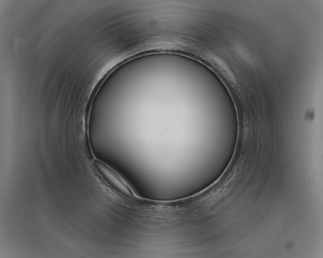 X0000095131226200712301817