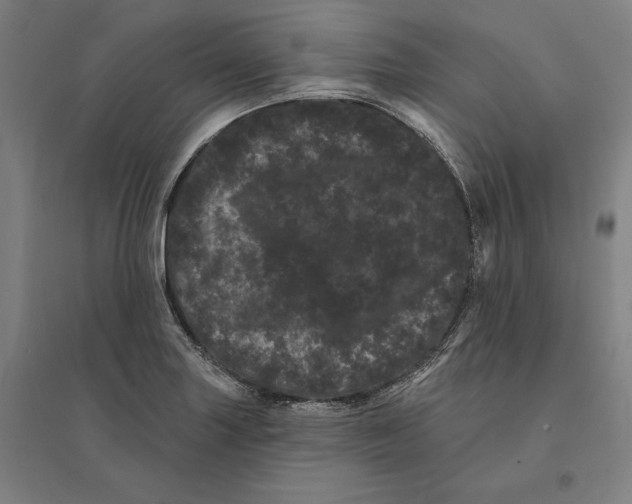 X0000095131227200712301817