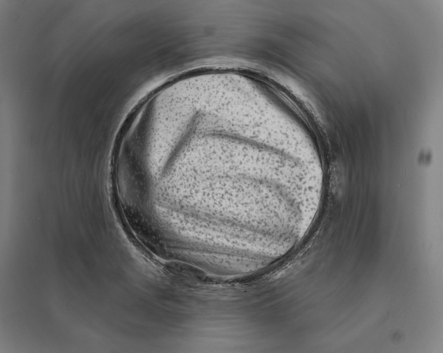 X0000095131229200712301817