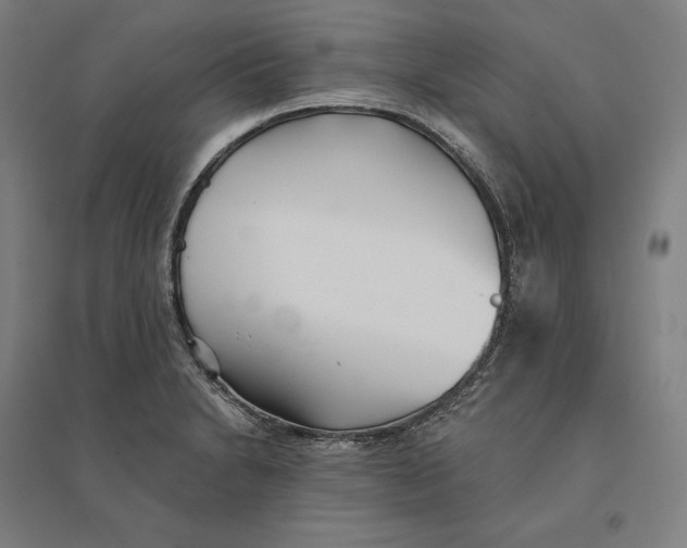 X0000095131230200712301817