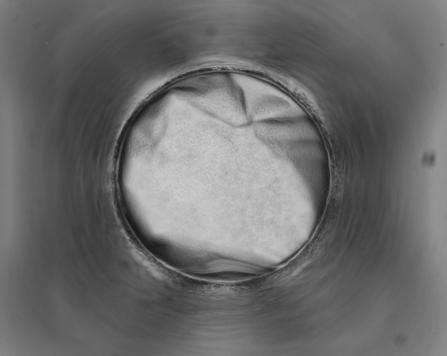 X0000095131231200712301817