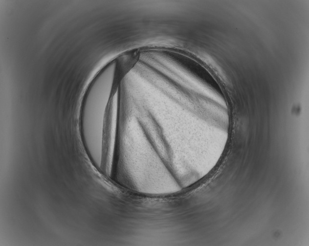 X0000095131232200712301817