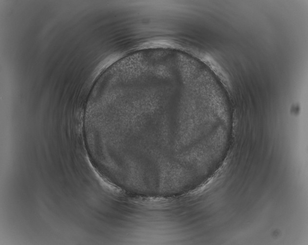 X0000095131233200712301817