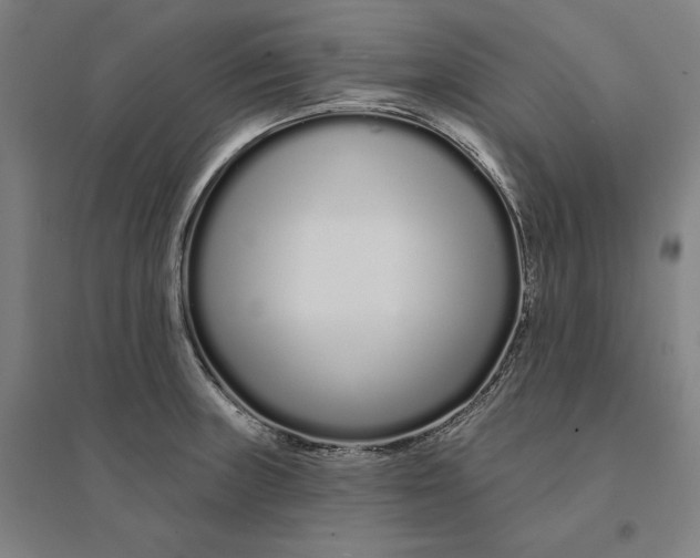 X0000095131235200712301817