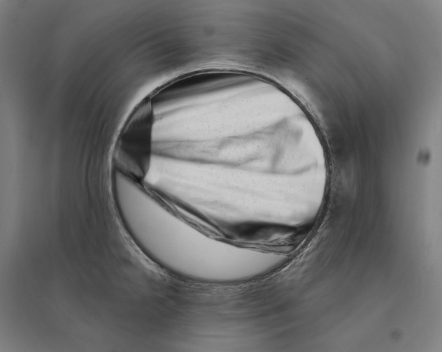 X0000095131238200712301817