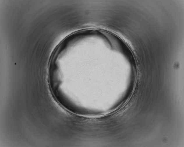 X0000095131239200712301817