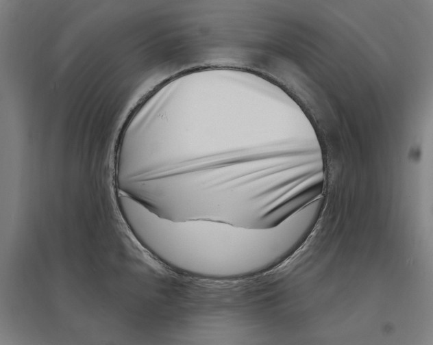 X0000095131240200712301817