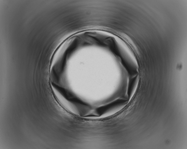 X0000095131244200712301817