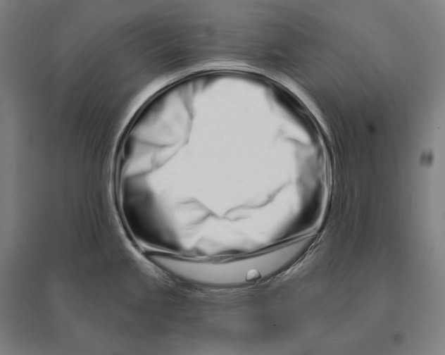 X0000095131245200712301817