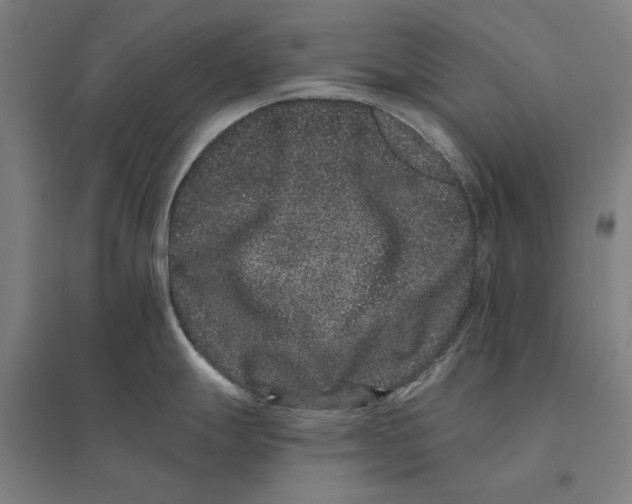 X0000095131247200712301817