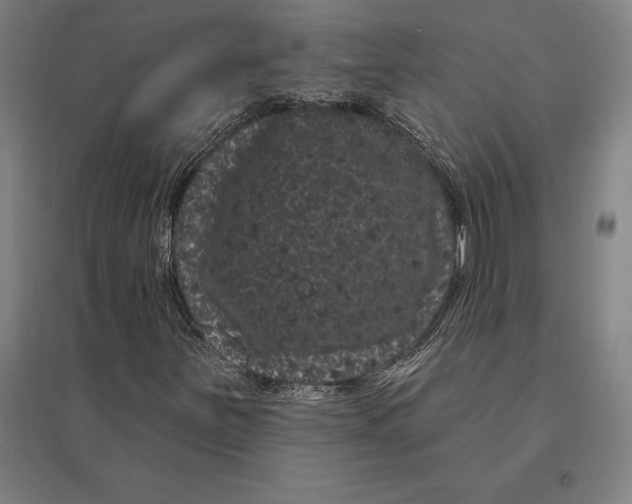 X0000095131251200712301816