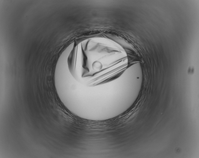 X0000095131252200712301816