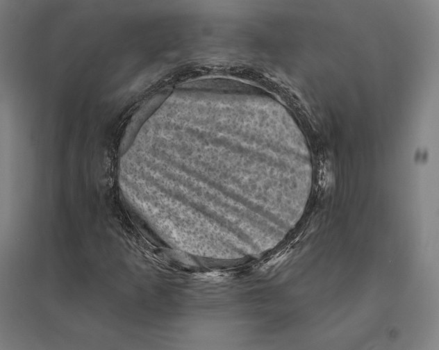 X0000095131253200712301816