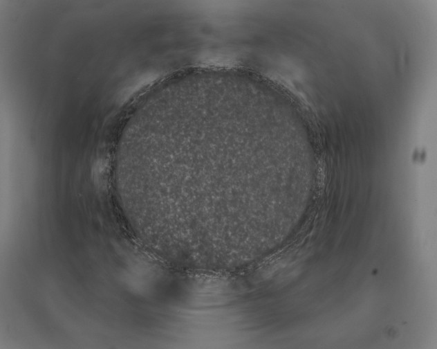 X0000095131254200712301816