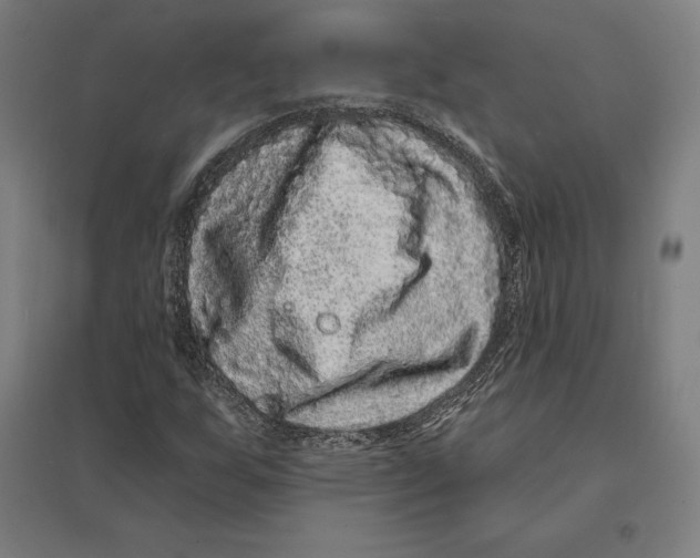 X0000095131255200712301816