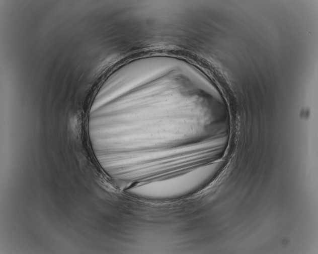 X0000095131257200712301816