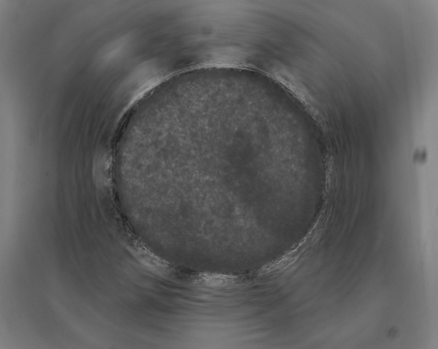 X0000095131258200712301816