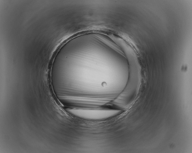 X0000095131260200712301816