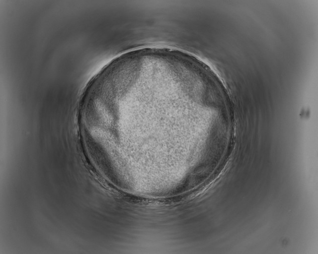 X0000095131263200712301816