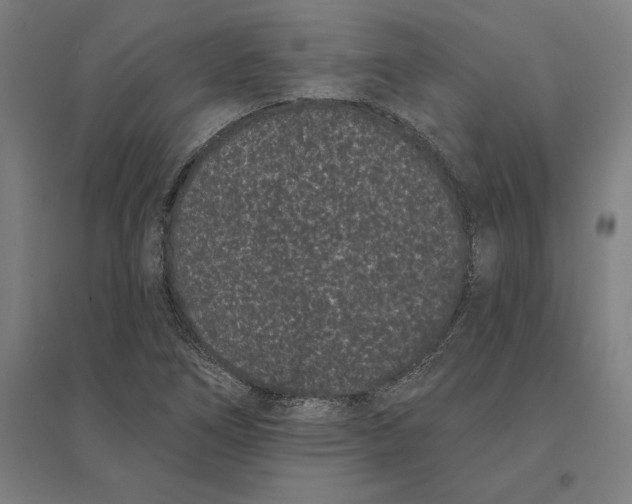 X0000095131266200712301816