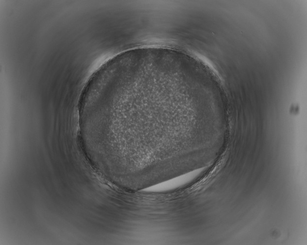 X0000095131267200712301816