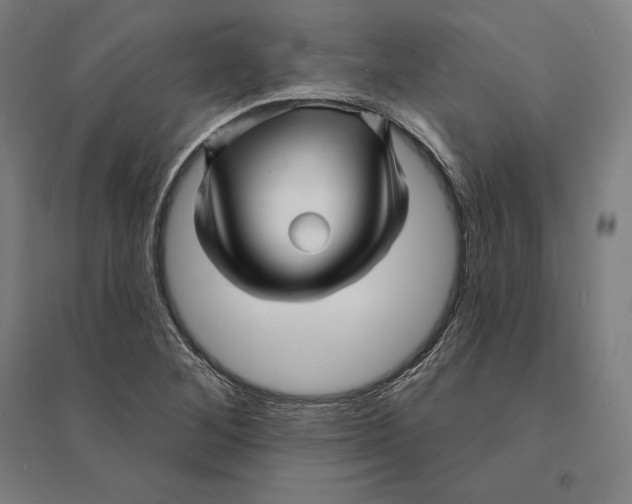 X0000095131268200712301816