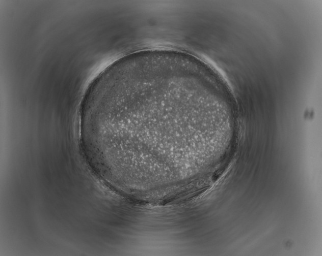 X0000095131269200712301816