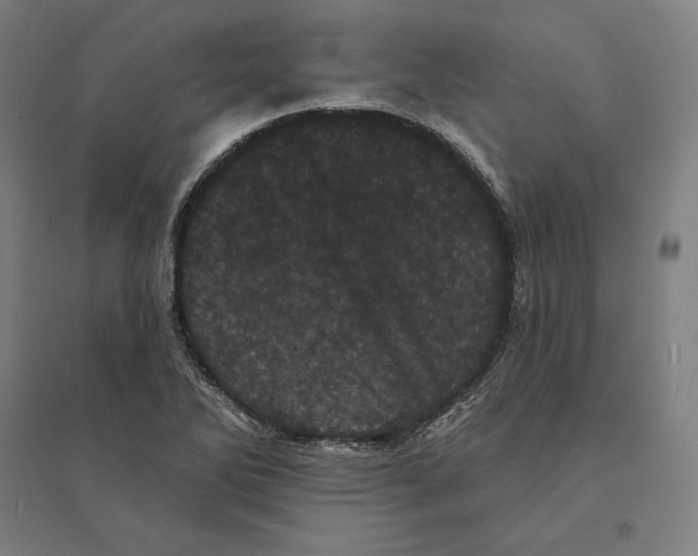 X0000095131270200712301816