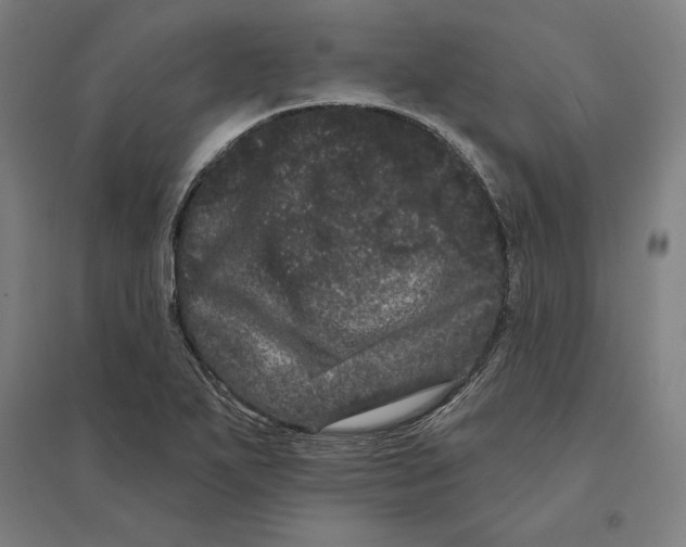 X0000095131271200712301816