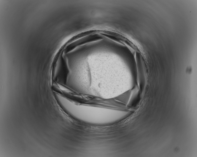 X0000095131272200712301816