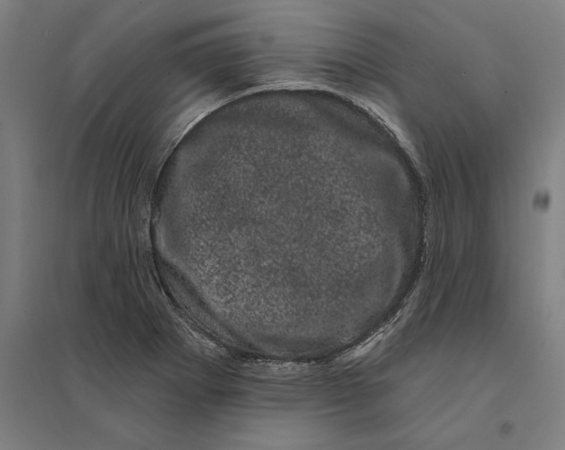 X0000095131273200712301816