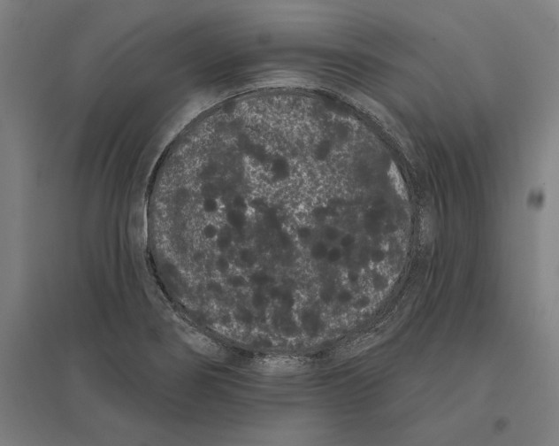 X0000095131274200712301816