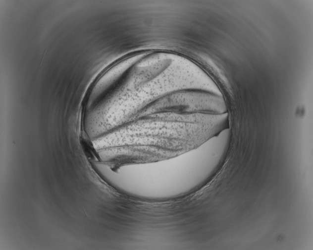 X0000095131276200712301816