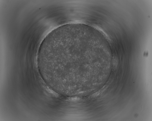 X0000095131278200712301816