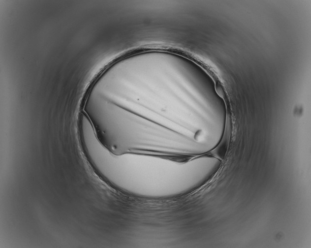 X0000095131279200712301816